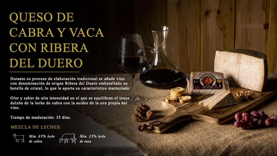 CARROUSEL GRAN CARDENAL19