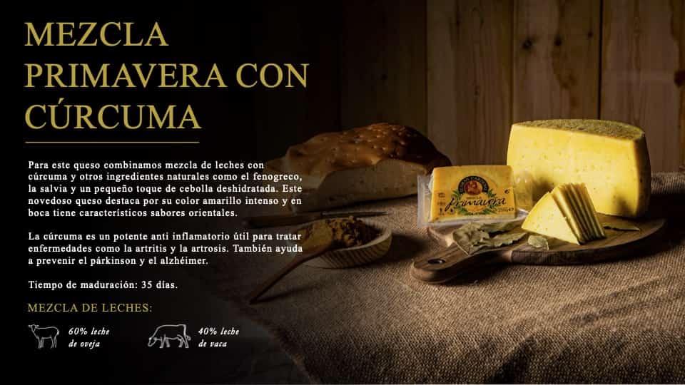 CARROUSEL GRAN CARDENAL21