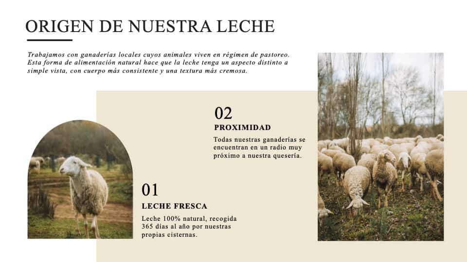 CARROUSEL GRAN CARDENAL5